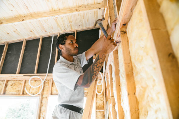 Best Blown-In Insulation  in Ashville, AL